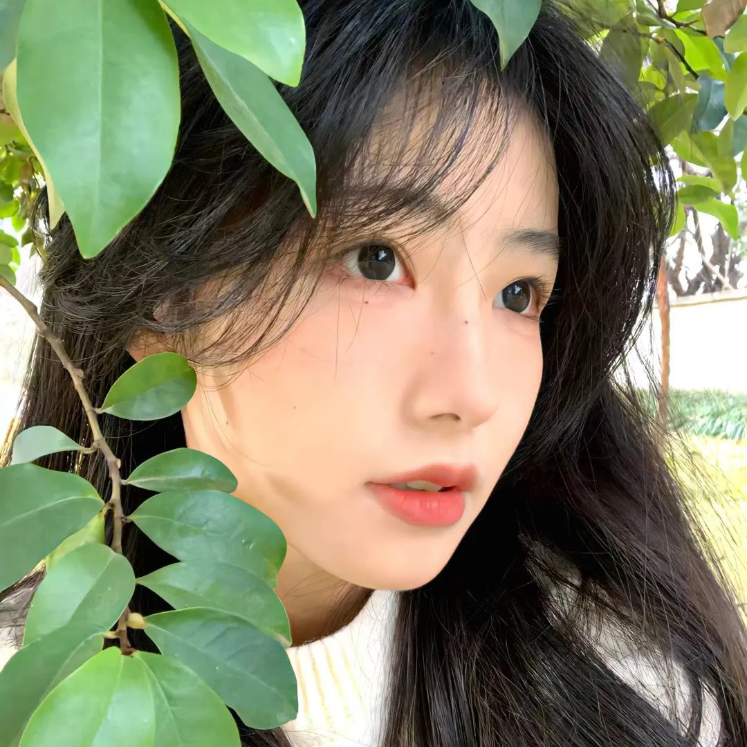 真假森林王